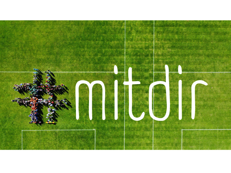 Minis beim Minitag