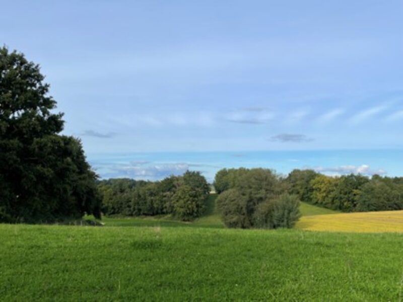 „Zwischenzeit“ mit Meditationen durch die herbstliche Hallertau